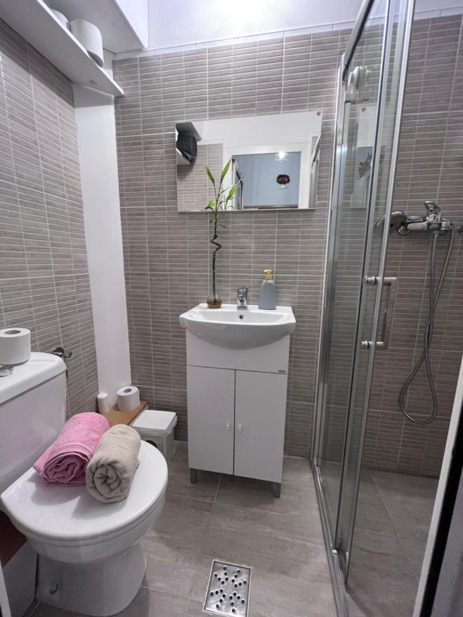 טימישוארה Downtown Apartment מראה חיצוני תמונה