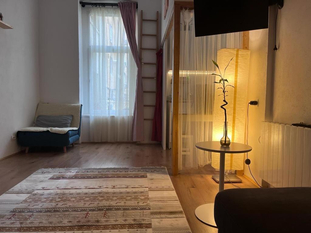 טימישוארה Downtown Apartment מראה חיצוני תמונה