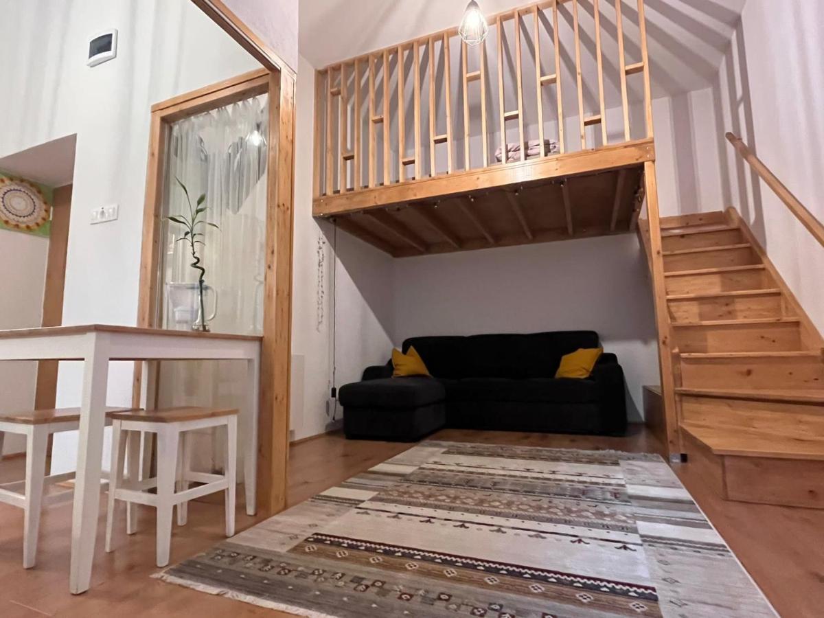 טימישוארה Downtown Apartment מראה חיצוני תמונה